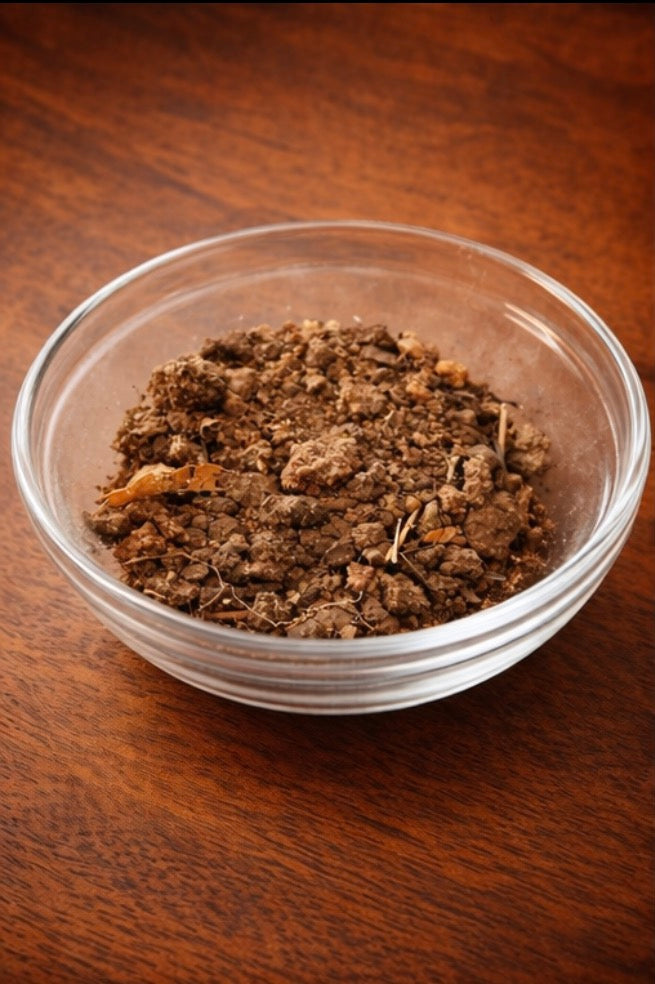 Forest Dirt